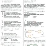 KPPS Soruları İle İlgili En Güncel Bilgiler ve Yorumlar